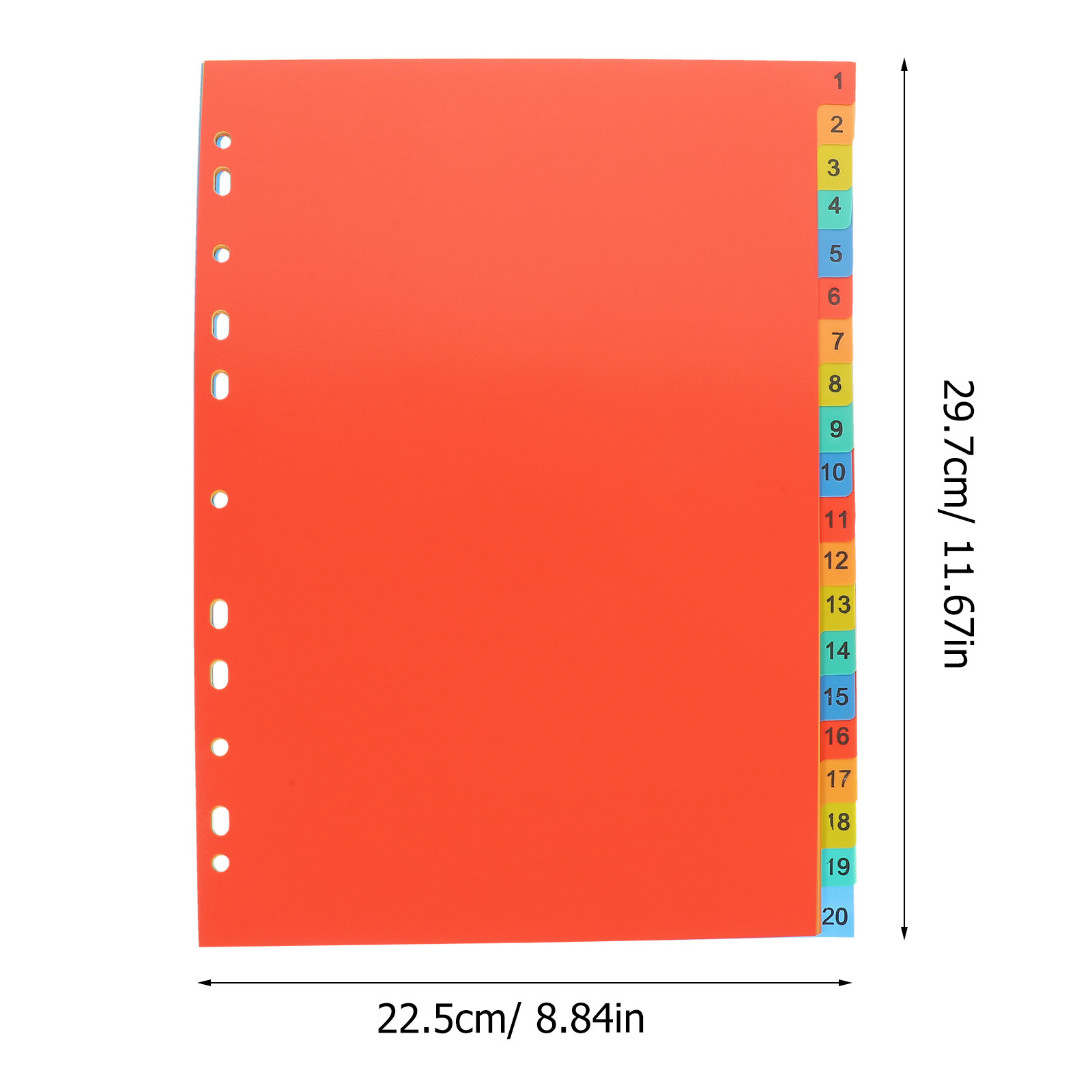 20 Fogli Divisori in Plastica  - Tab Divider A4 recensione e prezzo